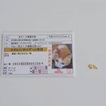 猫のアンケートに応募したら福猫開運グッズが当たりました(^○^)めっちゃかわいい！猫好きにはたまらん！ちゃんと免許ケースにいれて運転してますよ～❣️育休中のひまつぶし😌#あさくさ福猫太郎 #招&hellip;のInstagram画像