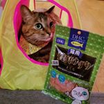 麦にゃよ🐾DHCさんのキャンペーンに当選して、贅沢けずりまぐろが届いたにゃよ。残念ながら麦は食べなかったので、2枚目以降、空がご紹介します。2枚目～空(くう)にゃよ。贅沢けずり「ま&hellip;のInstagram画像