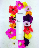 「写真ぱしゃり！」の画像（1枚目）