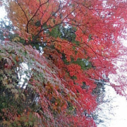 「ご縁が」イオン歯ブラシKISS YOU IONPA15名様募集！お写真得意な方大歓迎！の投稿画像