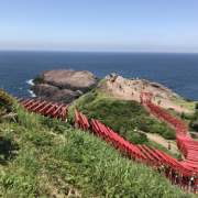「最近のきれいな写真」KISS YOU音波振動歯ブラシIONPA homeお写真得意な方15名様募集！の投稿画像