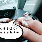 こういうの、好きな人にはたまらないタイプの。。おもしろ雑貨のお店#シンシア です発売中の指輪。。プレゼントにも最適だし。。相棒としても。。ただそこにいるだけでご機嫌になれちゃいますよ♡&hellip;のInstagram画像