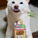 .リンレイさんの滑り止め床用コーティング剤モニターに参加🐾..フローリングの滑りが気になり、他社のワックスを使用してみるも効果なしでガッカリでした😢でもさすがコーティング剤！！&hellip;のInstagram画像