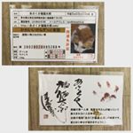 .福猫ちゃんのおまもり🐱.運気UPしますように💓💓.#開運グッズ #幸せ #お守り #monipla #あさくさ福猫太郎ショップファンサイト参加中のInstagram画像