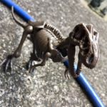 組み立てたらカッコいい！！胴体としっぽがくっつきにくくて苦戦したけど、楽しかった！結構でかいし、工具も付いてたし、これで980円は安いのでは#ジオワールド #geoworld #恐竜 &hellip;のInstagram画像