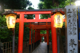 「自然や風景などを撮影するのが好きです」の画像（2枚目）