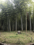 「写真」の画像（1枚目）