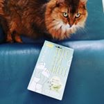 足裏シートは昔から使ってて、最近は仕事中に腰に貼ったりもしてるけど、今回ユーカリミントのものが当たった！いつも使ってるのは、安さと効果だけ考えて、シートとシールが別々になってて、漢方の臭いが強いけ&hellip;のInstagram画像