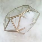 羽根の専門店のKamatac(カマタック)さんに、コキールの羽根をいただきました✨．ウェディングのフェザーシャワーやウェルカムボードにもオススメ♡．色も選べます👍黒も欲しい～😍&hellip;のInstagram画像