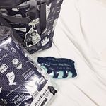 🐻・・・カリンピア様より、レジャー３点セットを❤︎・・クーラートートバック、保冷剤、レジャーシート！このトートバック結構大っきくて、２リットルのペットボトルが３本も入る&hellip;のInstagram画像