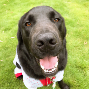 「痩せたいです。」カチコチ便秘をゴッソリ一掃するダイエットサプリモニター募集【381】の投稿画像