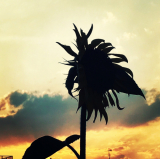 今日もおつかれさま