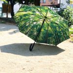 関東の方は台風のようですね💨いつもビニール傘ですが、sincereさんから頂いた傘はしっかりとした傘で、中は森林〜🌲まだ雨降ってないので使ってませんが、楽しみ🤗#傘 #長傘 #umbr&hellip;のInstagram画像