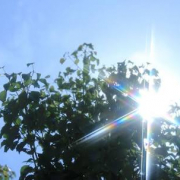 「太陽のシーズン」【5名様】週1回のスペシャルケア用トリートメントのフォトコンテストを開催！の投稿画像