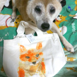 口コミ：モニター☆イーザッカマニアストアーズ アニマルフェイスプリントトートの画像（2枚目）