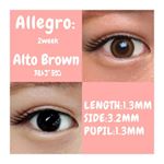 .Allegro 〜 アルトブラウン 〜DIA:14.0mm  B.C:8.6mm.私の大好きな細フチレンズ✨このデザインがちょっと猫目っぽくなれてかわゆす〜💕隠れて見&hellip;のInstagram画像