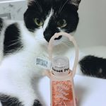 皆さん、こんにちは、あかねです！🙋🏼&zwj;♀️ 今日は～ジョイココのスクラブハンドソープを紹介したいと思います。💁🏼&zwj;♀️持ち運び安い包装で～最高です‼️香りもいろいろありまして、成分もとても肌に&hellip;のInstagram画像