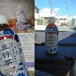 ドライブのパートナーに&hearts;️ハーブティーって少し飲みにくいかなぁ？っと思ったけど。ルイボスティーのよう😄パンでもごはんでも何にでも合う気がする😄#ベジキッチン #五行茶 #シンシアガーデン #オリエ&hellip;のInstagram画像