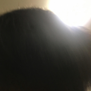 「カラーヘア」【10名】9/5新発売のカラーヘア専用シリーズをいち早くお試ししませんか？の投稿画像