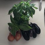 2018/08/23お昼はパスタがいいなと思っています.南国の叔母の家のバジルとナス姉の家の玉ねぎみんな家に畑があって豊かだなーって思う.2畳く&hellip;のInstagram画像