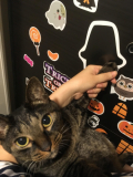 かなり喜んでくれました