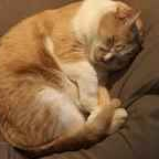 「アスミール」成長期応援飲料【アスミール】プレゼント！お子様の１年間の成長記録写真大募集！！の投稿画像