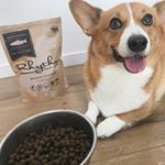 コーギーは太りやすいので日頃から食事を気にかけています🍙とくにメインのドッグフードにはとても気を使っています✨.そんな中出逢った#fanimal さんの#リズムウェイトコントロール ✨モニ&hellip;のInstagram画像