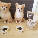 タニタの元会長がつくられたFanimalという会社のドックフード🐶いつものエサよりも食いつきが良すぎる😍こてつの耳と、かんたのお腹は、アレルギー？反応しやすくて、よく赤くなるけど、この&hellip;のInstagram画像