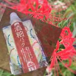 ワフードメイド「酒粕パック」﻿酒粕スキンケア﻿お気に入りです﻿これ使うと﻿あとがつるんつるんになります﻿あかぬけたかんじになり﻿コスパも良い﻿﻿#ワフードメイドでしっと&hellip;のInstagram画像