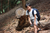 「上6歳  真ん中5歳 下現在」の画像（3枚目）
