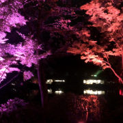 「地獄のライトアップ」【本品プレゼント10名様】シルク腹巻・フォトコンテスト開催★テーマは「秋」の投稿画像