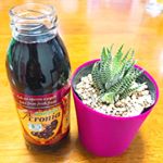 アロニアは私の気に成っていた目の疲れや体重が気になる方にもオススメらしく実際に飲んでみました👏👏・生サプリと言う事でジュースなので飲みやすいです！！・そのまま飲むのも良いけどち&hellip;のInstagram画像