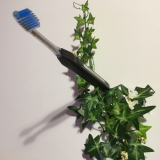 「パワーが凄い！」の画像（1枚目）