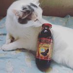 ..アロニア果汁100％✨ .そのまま飲んだらちょっと渋かったけど、家にあったリンゴジュース（100%）と混ぜたら美味しかった😋🎵 ..アロニアって初めて聞いたけど、&hellip;のInstagram画像