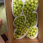 #ファストザイム #ファストザイムエナジー #腸活 #monipla #fastzyme_fanのInstagram画像