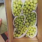 #内山味噌店 #monipla #uchiyamamiso_fanのInstagram画像