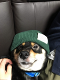 ちょっとおっさん