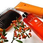 ・La CASTA AROMA ESTHE Hair Soap48La CASTA AROMA ESTHE Hair Mask48オーガニック植物成分をはじめ、ハーブエキスがいきいきと&hellip;のInstagram画像