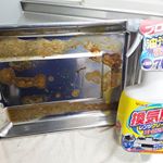 今年は秋刀魚が安いから、焼く機会が多いけど、その後がこれ😭だけどサイコーな物に出会えた😍吹きかけたら、キッチンペーパーで擦るだけ✌時短掃除できたから、空き時間は可愛い我が子と遊ぶ🐶 &hearts;&hellip;のInstagram画像