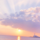 私の身近なかわいい