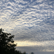 「うろこ雲」【10名様】定番人気のヘッドスパブラシのモニター大募集！の投稿画像