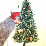 ほっこりドリンク