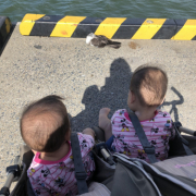 「お外で日向ぼっこをしている鳥」【5名様】プルプルリップモニターキャンペーン♪の投稿画像