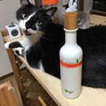 皆さん、こんにちは、あかねです！❤️❤️今日は株式会社オーライとジャンの👉🏼Tree in the Bottle （ツリーインザボトル） を紹介したいと思います。.一番みなさんに知&hellip;のInstagram画像