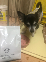 口コミ記事「無添加ドッグフードを食べさせてみて...」の画像