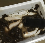 「ハーブピーリング」の画像（1枚目）