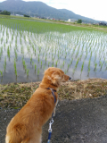 「美味しいものくれるならいつまで待つよ」の画像（3枚目）