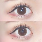 ﻿﻿﻿━━━━━━━━━━━━━━﻿アレグロ2ウィーク💕﻿DIA:14.0mm💭﻿1箱4枚入り💋﻿フィーネブラウン✨Fine Brown✨﻿━━━━━━━━━━━&hellip;のInstagram画像