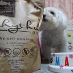 いつも食べているドッグフードより固いのかしっかり噛んで食べています♪そろそろトリミングに行かないとボッサボサだな。12月入ったら予約を取らねば。#fanima #ファニマル #&hellip;のInstagram画像