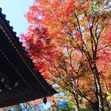 最近のお出掛け風景